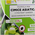 Kit trappola cimice asiatica P025012CIN